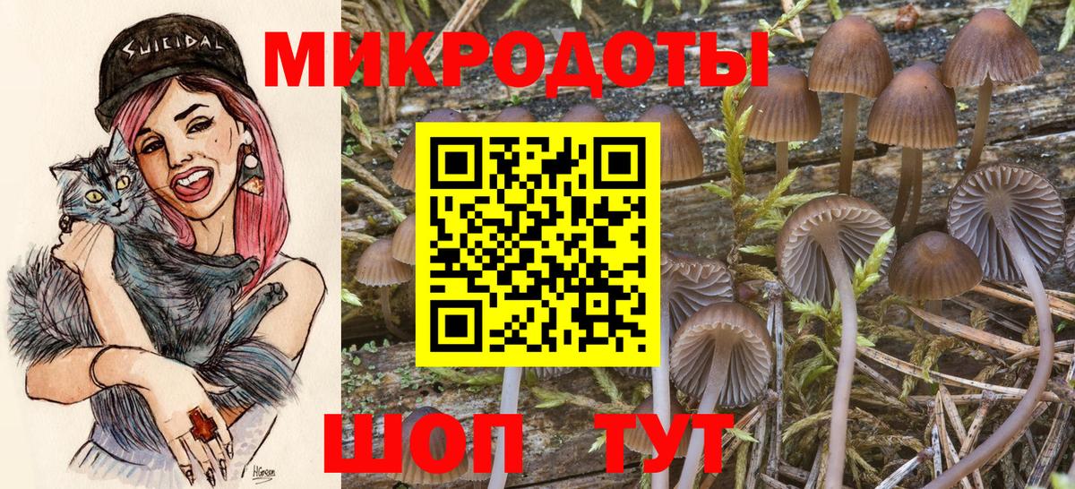 Псилоцибиновые грибы прущие грибы Ликино-Дулёво